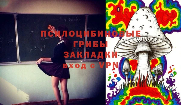 2c-b Новодвинск
