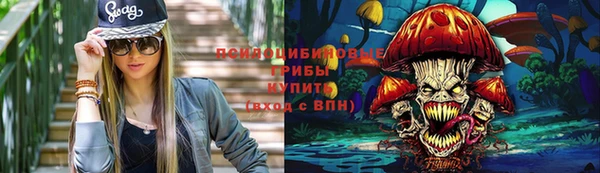 2c-b Новодвинск